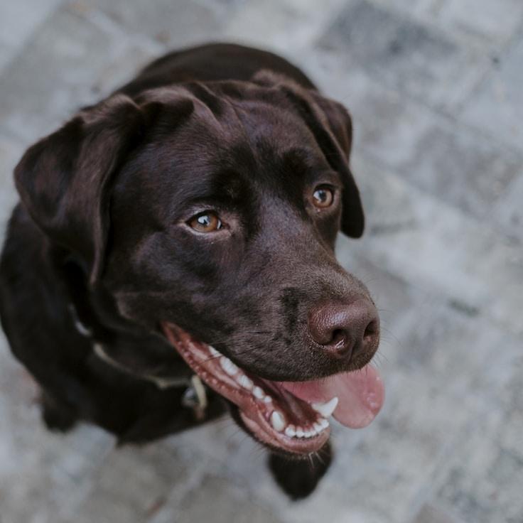 Portrait of Nova Rivera, group coordinator and fusion cooking expert